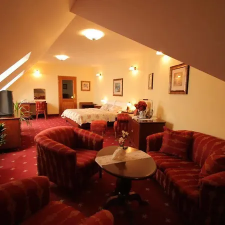 Octarna - Free On-site Parking 4* Кромержиж